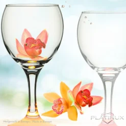 Trinkgläser Bunt Aus Glas Weingläser Mit Buntem Stiel 220ml Set 6-Teilig Getränkeglas Wasserglas Weißweingläser -Küchenzauber Günstiges Geschäft 04fc51e4106ab66456b25fd598038667