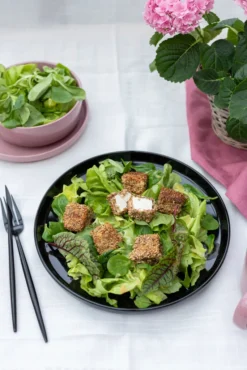 Kombiservice, Steinzeug Kombiservice, Steinzeug ALENIA Mäser 16 Kombiservice, Steinzeug Kombiservice, Steinzeug ALENIA Mäser -Küchenzauber Günstiges Geschäft 157ccff3a12489c317253a41a6b0d292