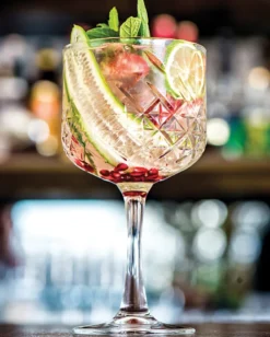 Pasabahce 440237 Timeless Gin Tonic Cocktailglas, 550ml, Glas, Transparent, 12 Stück 7 Pasabahce 440237 Timeless Gin Tonic Cocktailglas, 550ml, Glas, Transparent, 12 Stück -Küchenzauber Günstiges Geschäft 289217e309ae351251910bf9b2bb7ebc