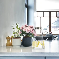 Relaxdays Glaskaraffe Mit Deckel 1,8 Liter -Küchenzauber Günstiges Geschäft 2acdd9cbaaa7ab73c65ec93668f244bd