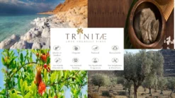 Villeroy & Boch 2 X Latte Macchiato Glas Ohne Henkel NewWave Vorteilsset 2 X Art. Nr. 1137373422 Und Gratis 1 Trinitae Körperpflegeprodukt 7 Villeroy & Boch 2 X Latte Macchiato Glas Ohne Henkel NewWave Vorteilsset 2 X Art. Nr. 1137373422 Und Gratis 1 Trinitae Körperpflegeprodukt -Küchenzauber Günstiges Geschäft 67077e59e1a1032d5c820cf4eae4ab17 2