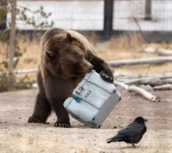 Lifetime Kühlbox 26,5 Liter Volumen -Küchenzauber Günstiges Geschäft 68fca415da8308f13e0b69044a19e710